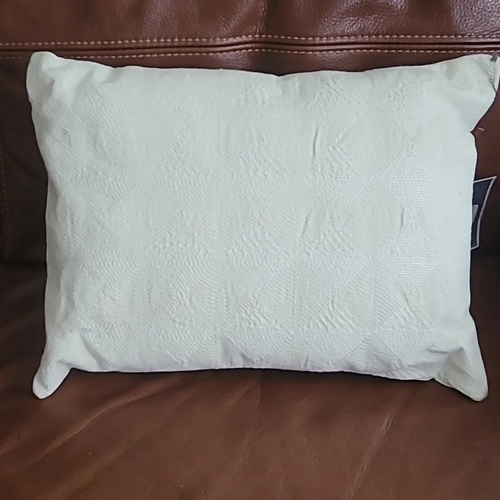 VERA WANG HOME Box Breakfast Throw Pillow FRETWORK 100% Cotton Down  12